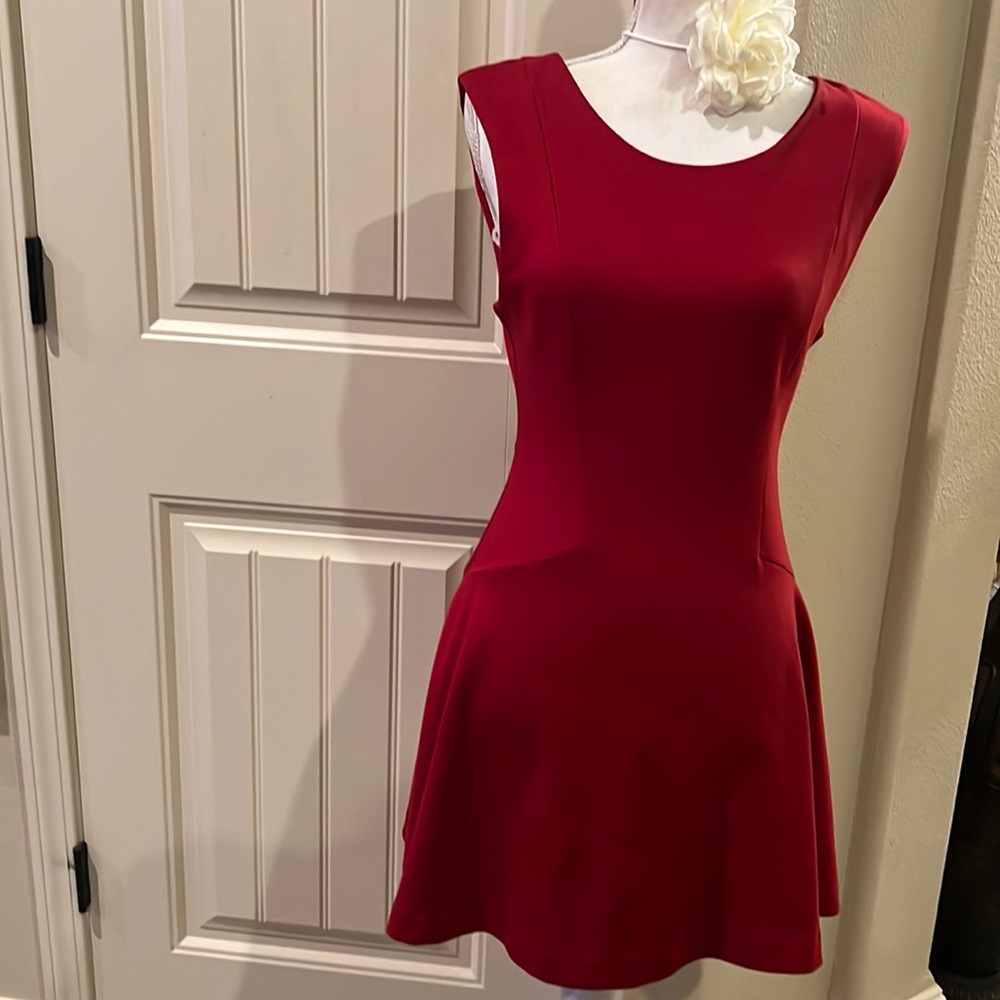 Free People Skater Dress